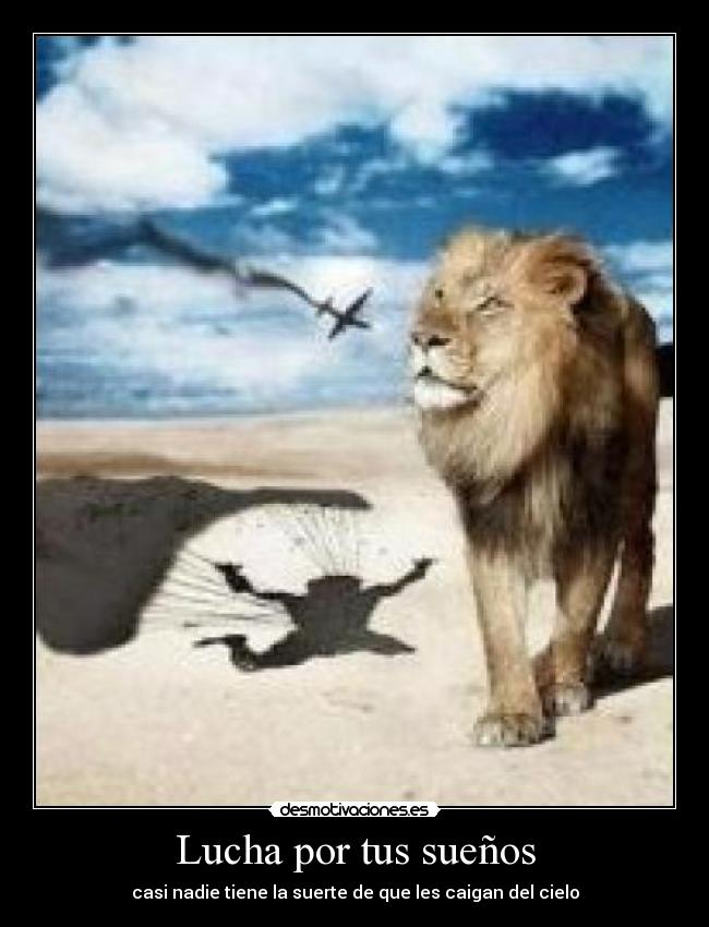 Lucha por tus sueños - 