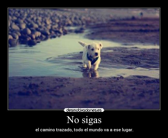 carteles sigas desmotivaciones