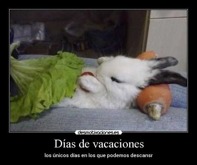Días de vacaciones - los únicos días en los que podemos descansr