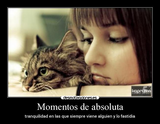 carteles gatoschica tranquilidad confort gente tocapelotas desmotivaciones