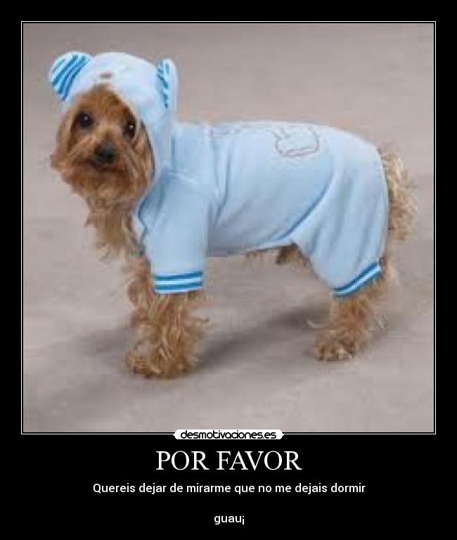 POR FAVOR - Quereis dejar de mirarme que no me dejais dormir
guau¡