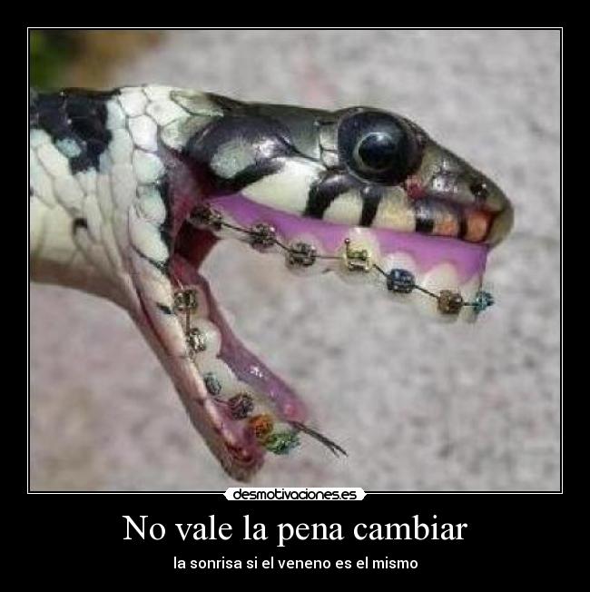 No vale la pena cambiar - la sonrisa si el veneno es el mismo