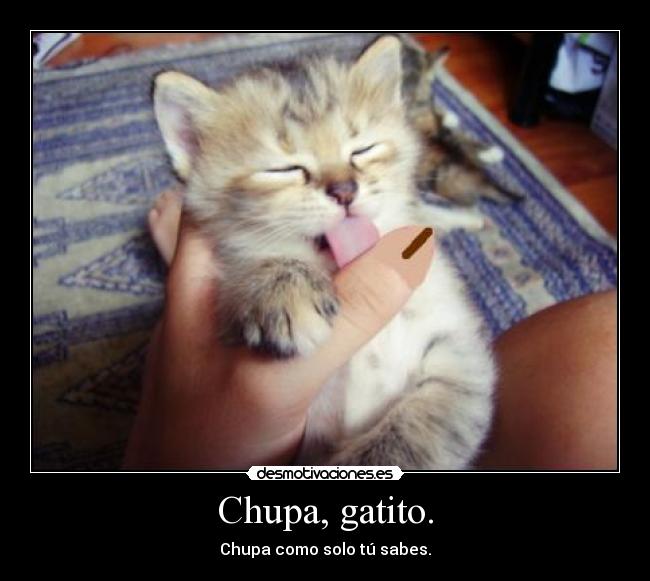 Chupa, gatito. - 