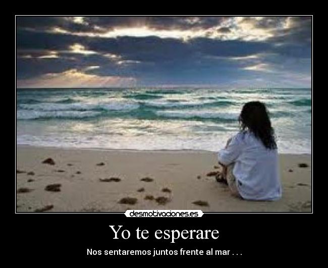 Yo te esperare -