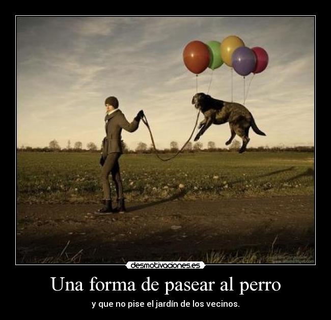 Una forma de pasear al perro - y que no pise el jardín de los vecinos.