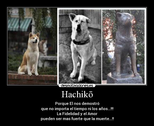 Hachikō - Porque El nos demostró
que no importa el tiempo ni los años...!!!
La Fidelidad y el Amor
pueden ser mas fuerte que la muerte...!!