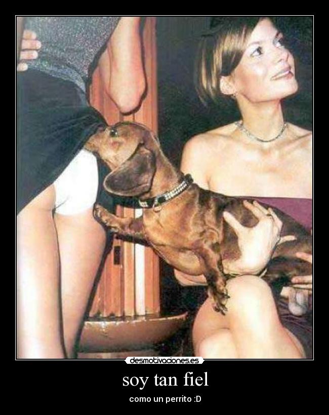 carteles fiel desmotivaciones