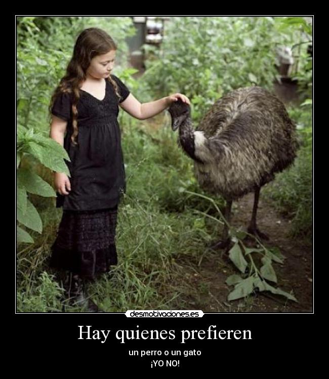 Hay quienes prefieren - 