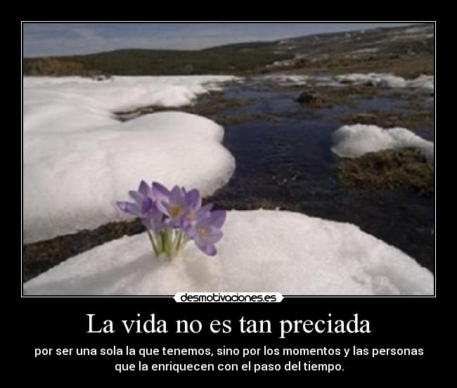 La vida no es tan preciada -