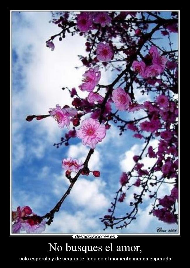 No busques el amor, - solo espéralo y de seguro te llega en el momento menos esperado