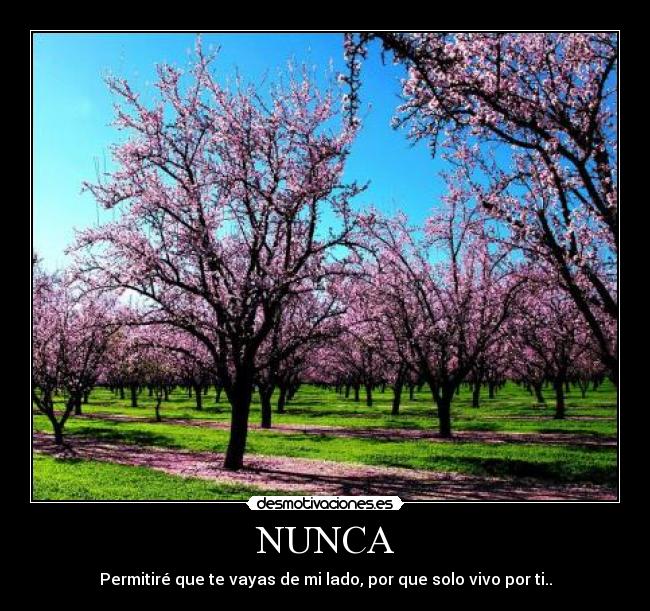 NUNCA -