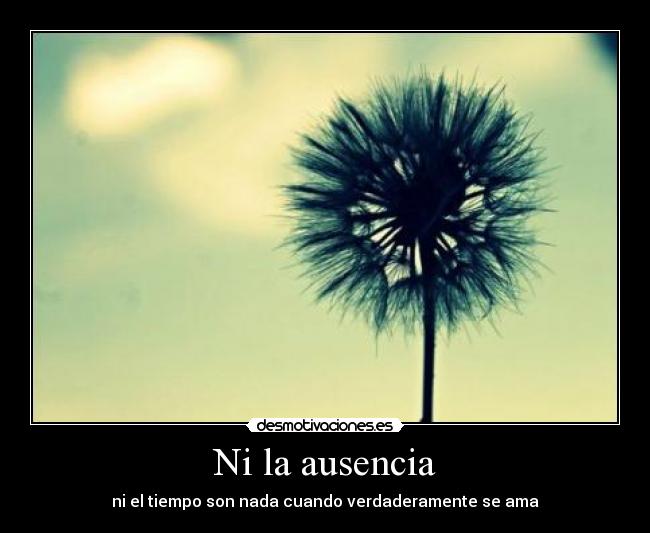 Ni la ausencia - 