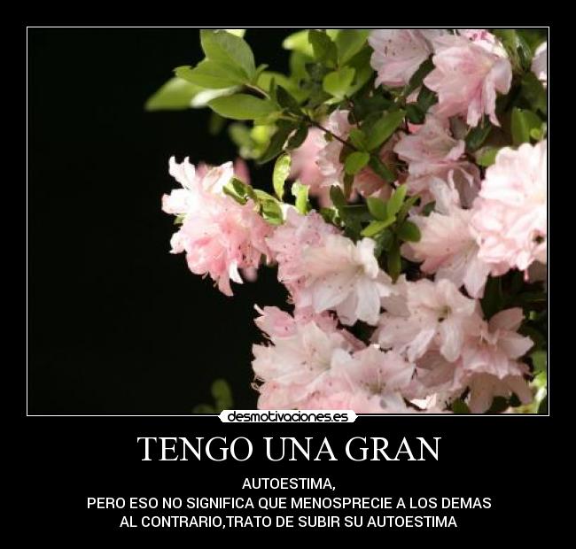 TENGO UNA GRAN - AUTOESTIMA,
PERO ESO NO SIGNIFICA QUE MENOSPRECIE A LOS DEMAS
AL CONTRARIO,TRATO DE SUBIR SU AUTOESTIMA