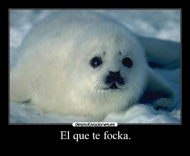 El que te focka. -