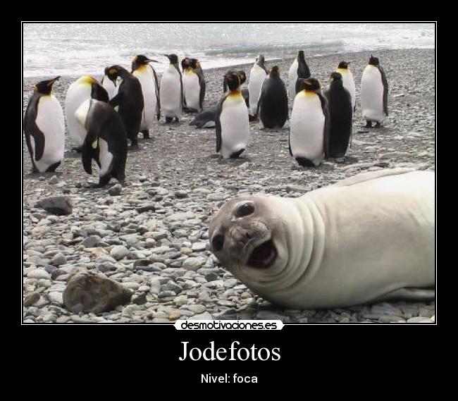 Jodefotos - 