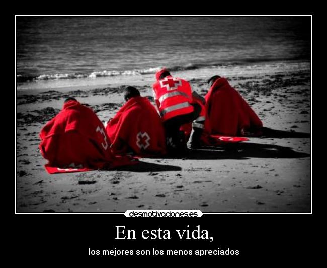 En esta vida, - los mejores son los menos apreciados