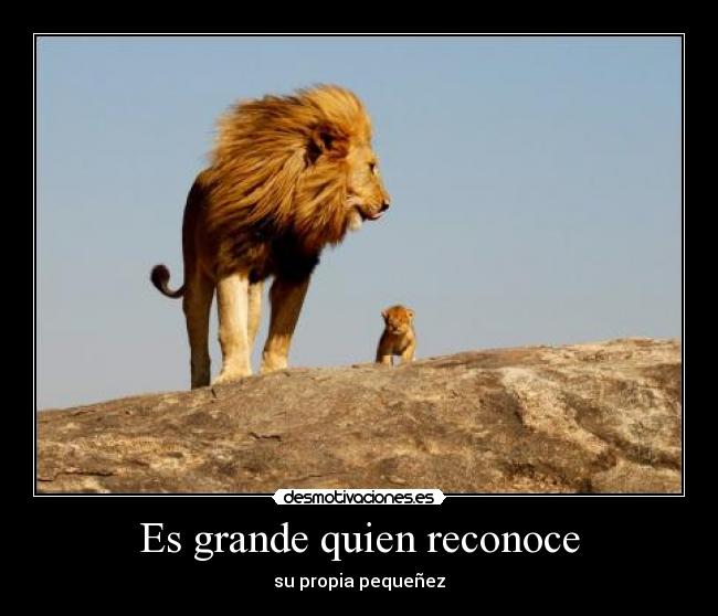 carteles grande desmotivaciones