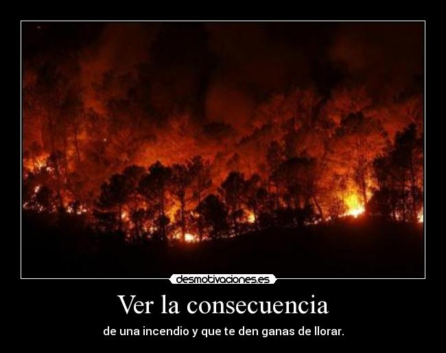 carteles portbou catalunya incendios ayuda cigarros muertos heridos todo quemado incendio fuego arboles desmotivaciones