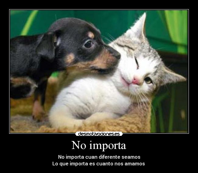 No importa - No importa cuan diferente seamos
Lo que importa es cuanto nos amamos ♥