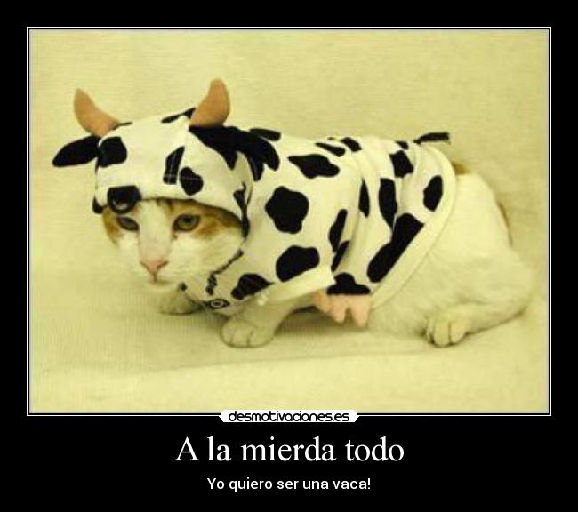 carteles canadiensesexy desmotivaciones