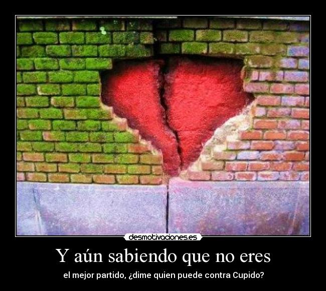 Y aún sabiendo que no eres - el mejor partido, ¿dime quien puede contra Cupido?