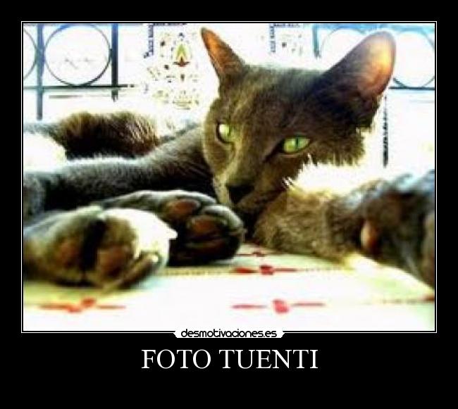 FOTO TUENTI -