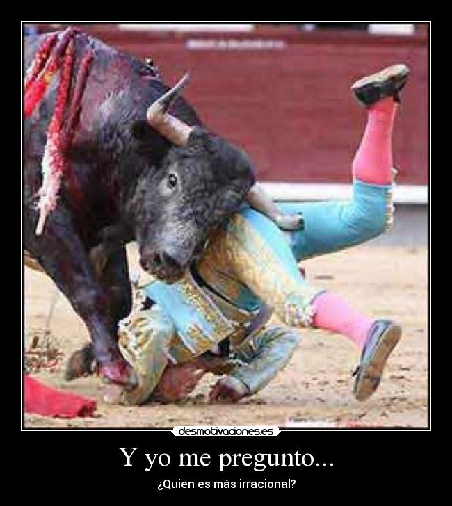 carteles pregunto desmotivaciones