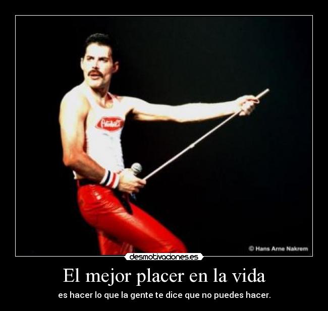 carteles vida mejor placer vida hacer que gente dice que puedes hacer freddy mercury desmotivaciones