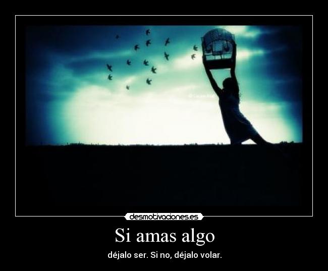 Si amas algo - 
