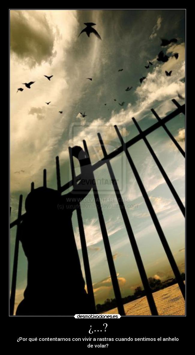 ¿...? - ¿Por qué contentarnos con vivir a rastras cuando sentimos el anhelo de volar?