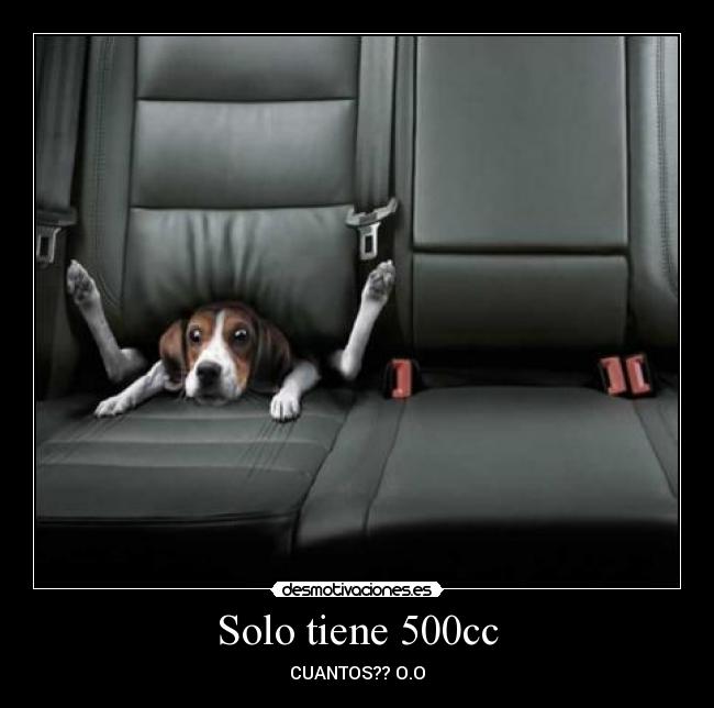 Solo tiene 500cc - CUANTOS?? O.O