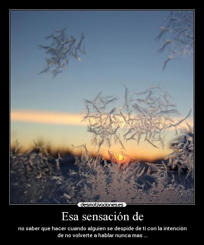 Esa sensación de - no saber que hacer cuando alguien se despide de ti con la intención
de no volverte a hablar nunca mas ...