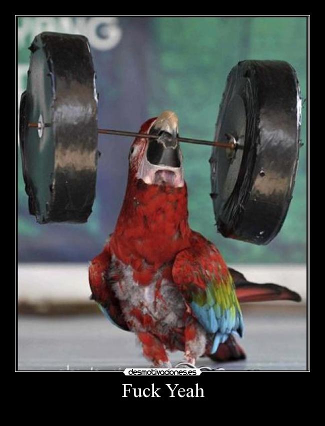Fuck Yeah -