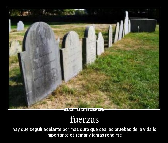 fuerzas -