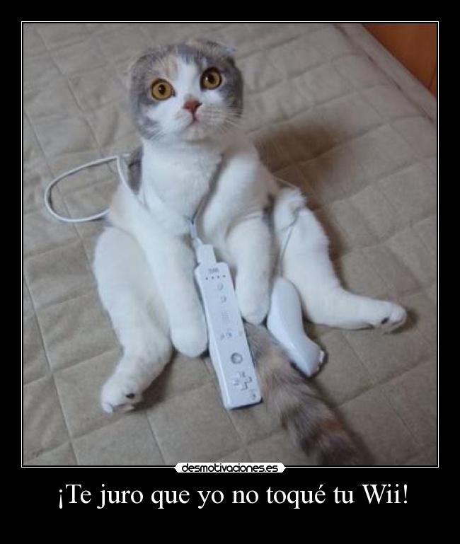 ¡Te juro que yo no toqué tu Wii! -