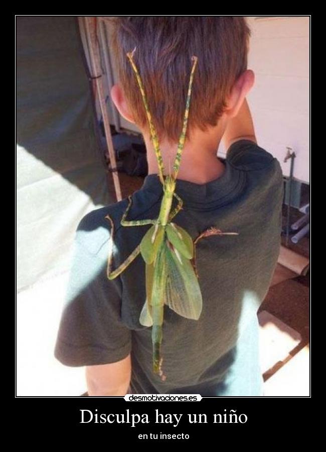 Disculpa hay un niño -
