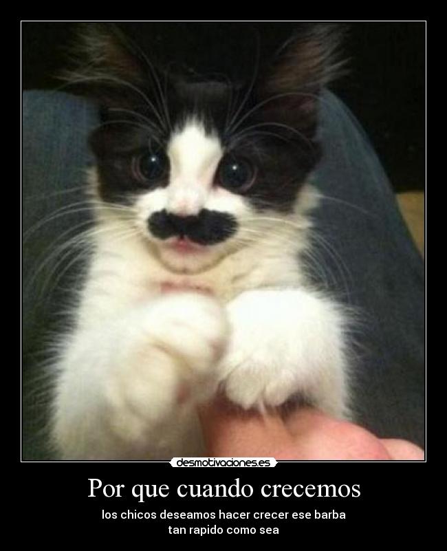 Por que cuando crecemos - 