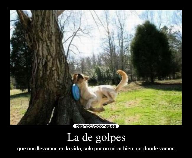 La de golpes - 