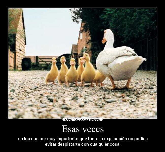 Esas veces - 