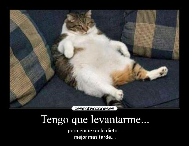 Tengo que levantarme... -