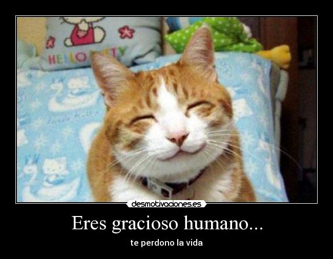 Eres gracioso humano... - 