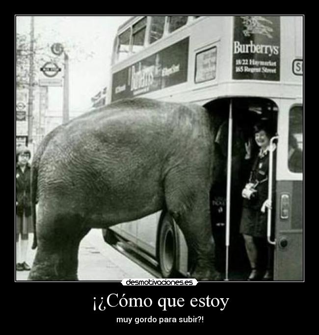 ¡¿Cómo que estoy -