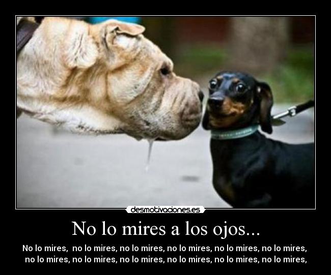 carteles fgfgf desmotivaciones