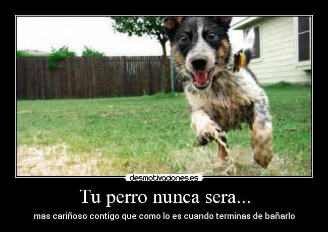 carteles bnbnb desmotivaciones