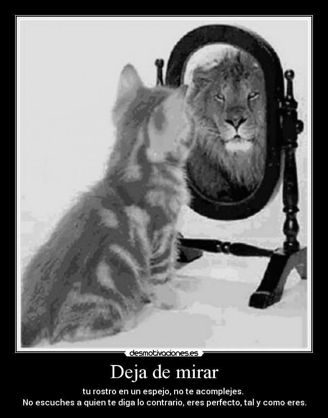 Deja de mirar - tu rostro en un espejo, no te acomplejes.
No escuches a quien te diga lo contrario, eres perfecto, tal y como eres.