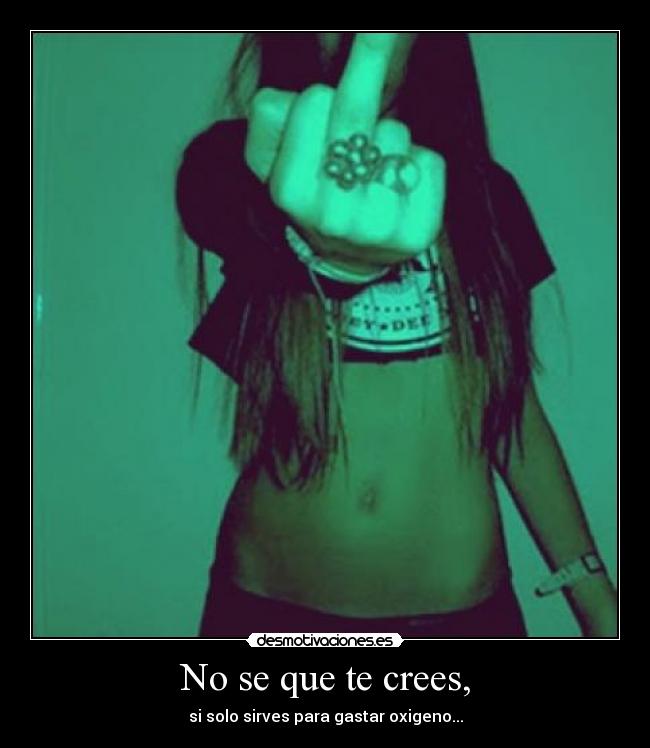 No se que te crees, - si solo sirves para gastar oxigeno...