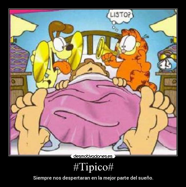 #Tipico# - 