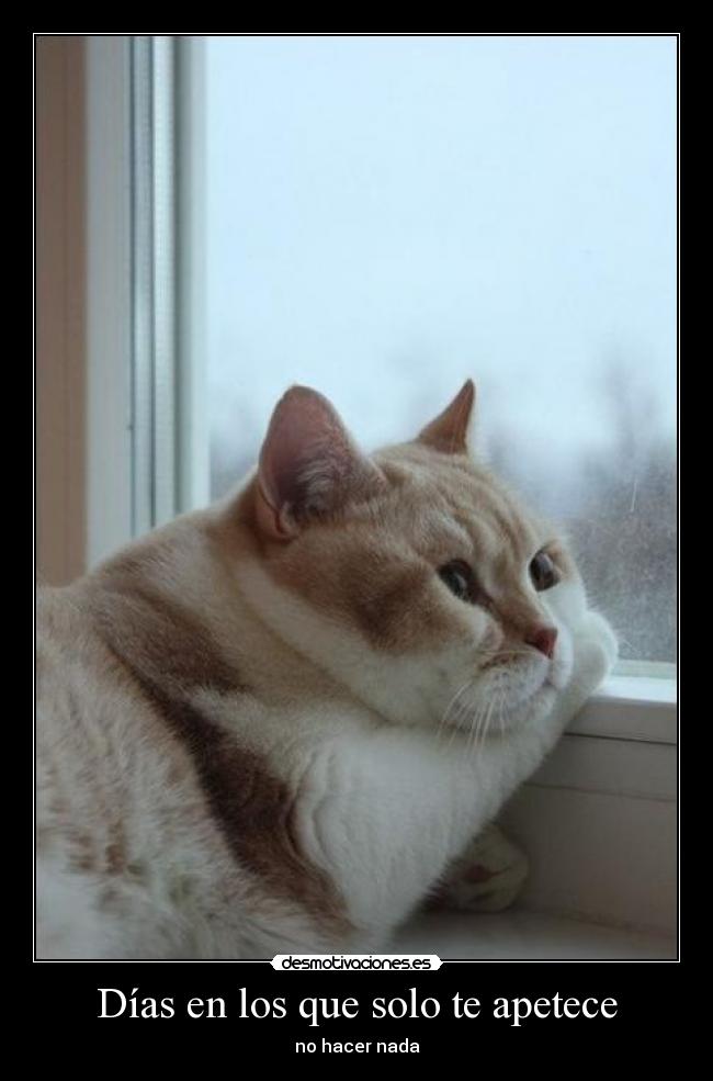 Días en los que solo te apetece - 