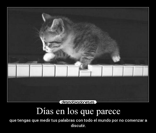 Días en los que parece - que tengas que medir tus palabras con todo el mundo por no comenzar a discutir.