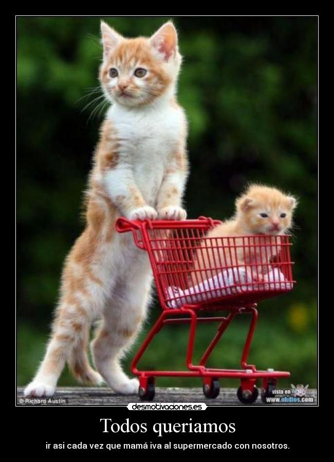 Todos queriamos - ir asi cada vez que mamá iva al supermercado con nosotros.